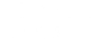 Minerva Foods